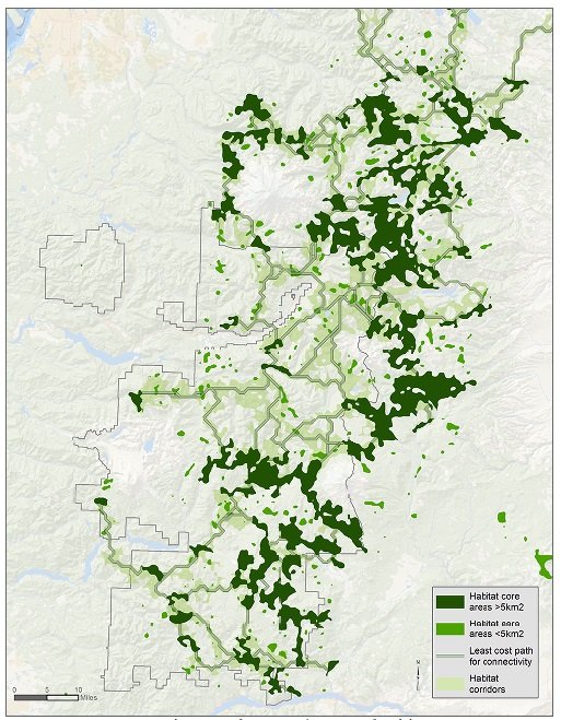 The Science Behind Conservation: Habitat Connectivity in the Cascades ...