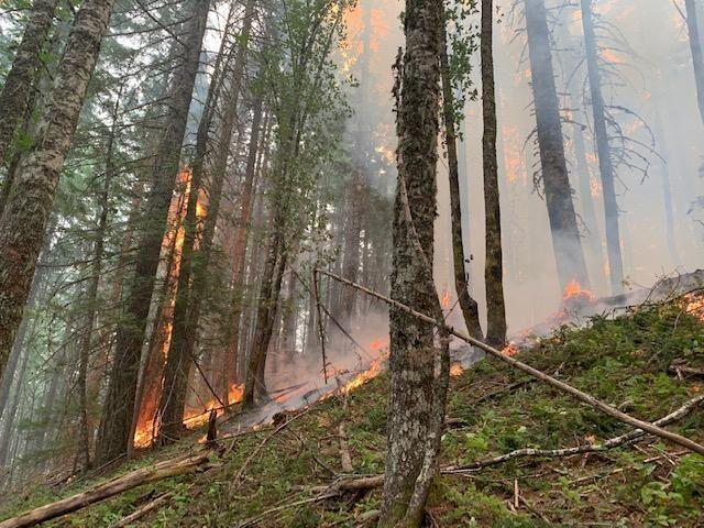 2020's Big Hollow fire burning in the Gifford Pinchot National Forest in 2020