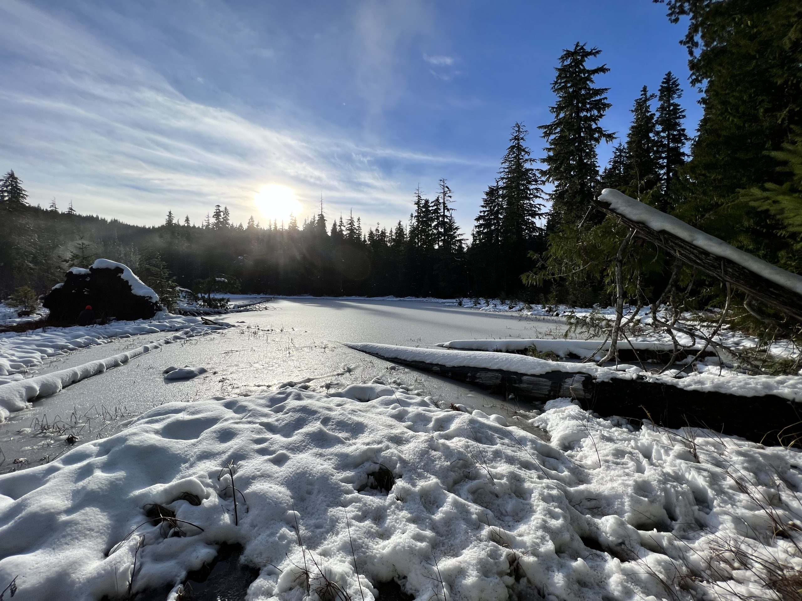 Image: A snowy pond near the beaver release site.