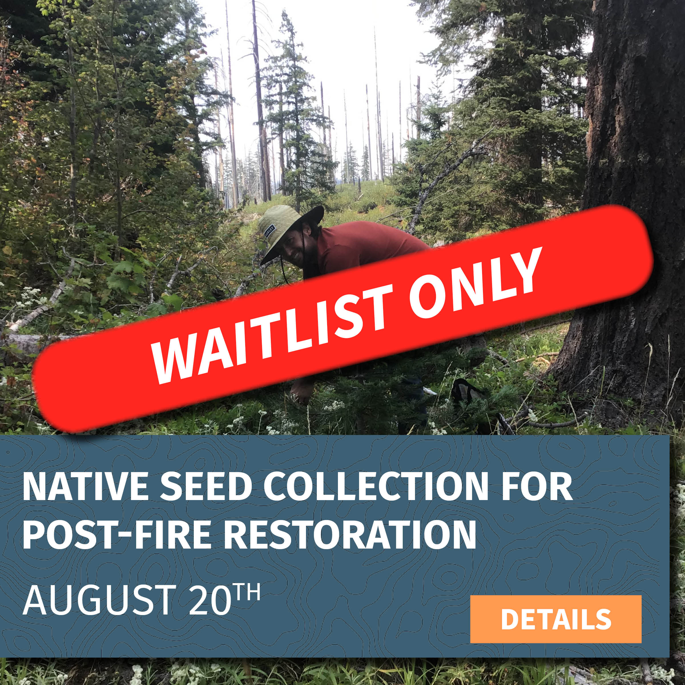 seed collection waitlist