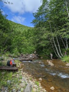 A person is sitting with a notepad beside a river flowing in a forested area