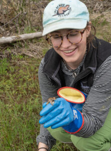 WSU Biology PhD candidate and amphibian expert, Julianna Hoza, with a northern red-legged frog 